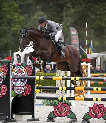 Orient Express unter Florin Filip