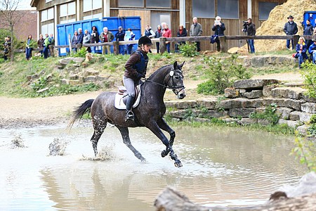 Painters Igor v. Phlox Painters Igor v. Phlox