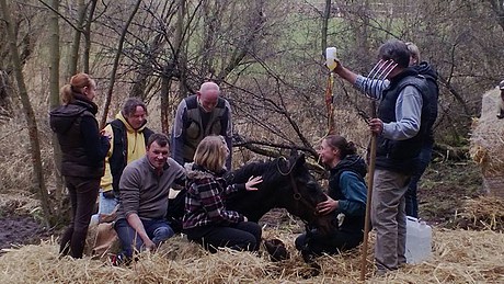 Parforce überlebt Tragödie Parforce im Sumpf