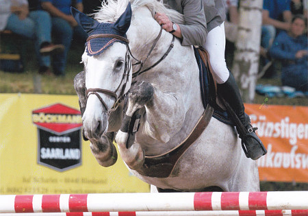 Luino unter Hans Günter Klein, Reitturnier Kaiserslautern Reitturnier Kaiserslautern 20140603