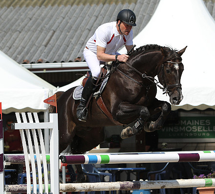 Erste S-Platzierung der Saison 2016 für Phlox und seinem Reiter Hans Günter Klein beim Pfingstturnier in Losheim am See!