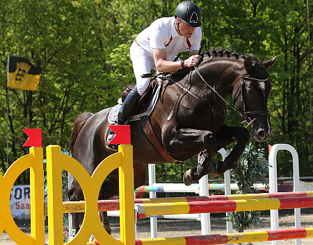Phlox und Hans Günter Klein gewinnen S - Springen in Beckingen